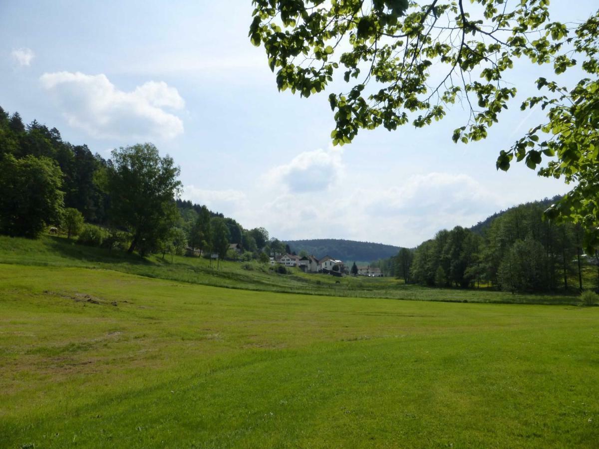 Ferienhaus Zur Muehle Mossautal المظهر الخارجي الصورة